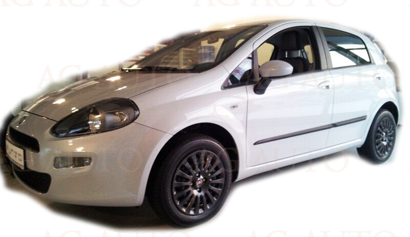 Listwy boczne na drzwi ochronne, Fiat Punto III, 2012